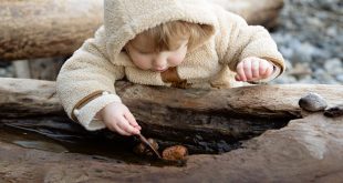cute little girl playing with stones on log on shore