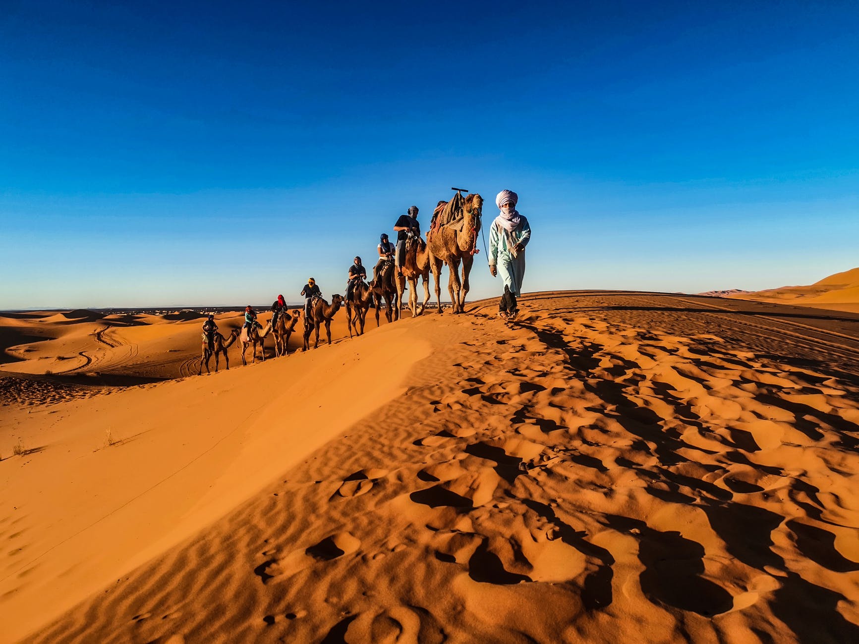 people riding camels